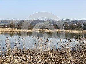 Stille Reuss or Stilli RÃ¼ss Stilli Ruess in the natural protection zone Aargau Reuss river plain / Naturschutzzone Auen