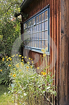 Stillife with flowers and window in the valley