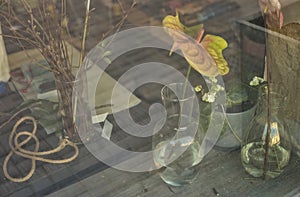 Stillife with glass and flowers