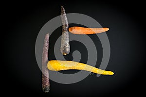 Stilllife with four carrots - Three different kinds of carrots against a black background