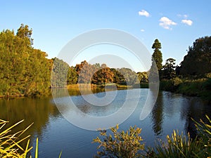 Stillness - Centennial Park, Sydney photo