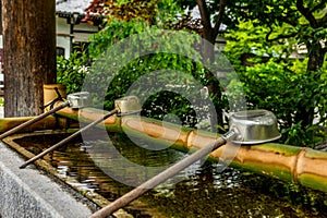 Stillness at the water basin at the entrance of a shrine in Japan for the riual Temizuya purification - 14