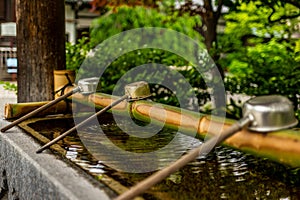 Stillness at the water basin at the entrance of a shrine in Japan for the riual Temizuya purification - 15