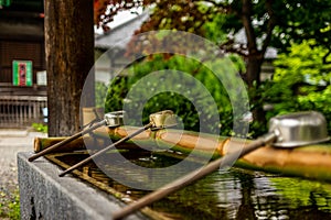 Stillness at the water basin at the entrance of a shrine in Japan for the riual Temizuya purification - 16