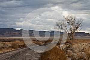 Stillwater National Wildlife Refuge