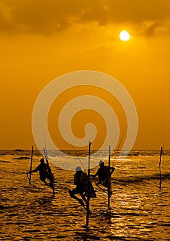 Stilt Fisherman photo