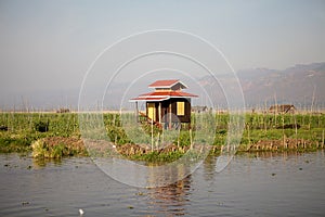 Stilt house among the floating gardens on the Lake Inle Myanmar