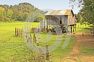 Stilt house near rice field, Cambodia