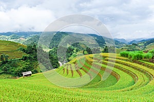 Stilt house on the rice terraced field with the mountains and clouds