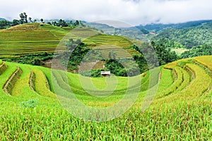 Stilt house on the rice terraced field with the sky and clouds