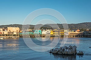 Stilts in Monterey, California