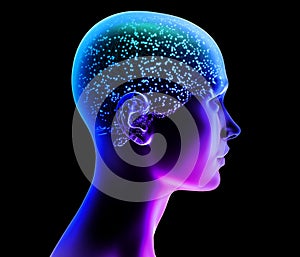 Stimuli and emotions, feelings that pervade the body. Impulses, neurons and synapses that interact. Face profile view