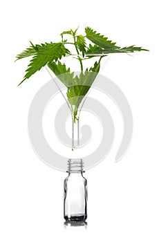 Stinging nettle in a glass funnel above a pharmacy bottle, a med