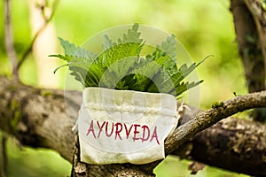 Stinging Nettle with the word Ayurveda