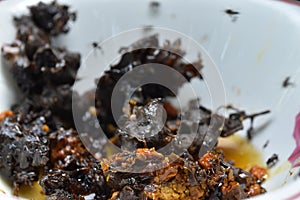 Stingless honey bee, efficacious for maintain a healthy body and increase the body`s resistance to disease