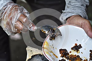 Stingless honey bee, efficacious for maintain a healthy body and increase the body`s resistance to disease