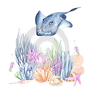 Stingray at the bottom watercolor illustration