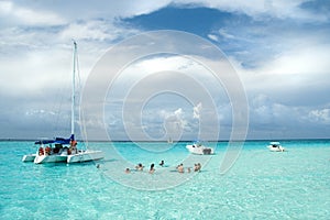 Stingray City Swim