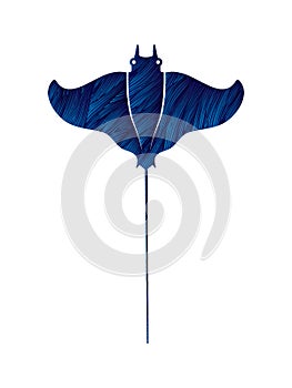 Stingray fish, Batoids fish