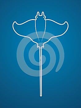 Stingray fish, Batoids fish