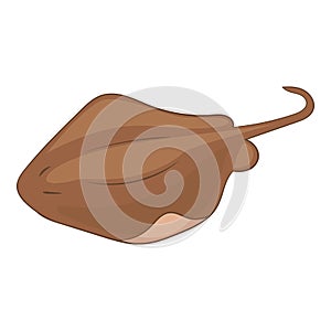 Stingray fish icon, cartoon style