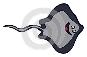 Stingray fish, illustration, vector