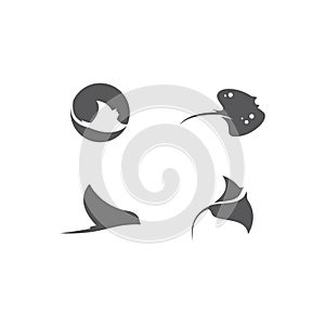 Stingray logo photo