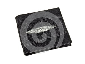 Stingray Skin Wallet