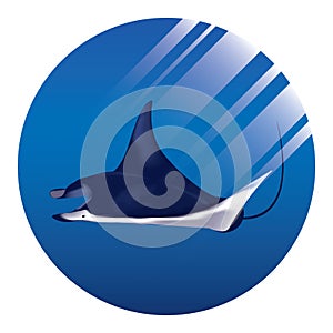 Stingray. Vector illustration decorative background design