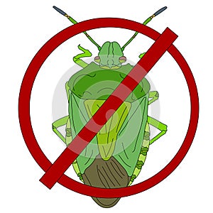 Stink bug or Pentatomidae icon. Vector illustration