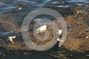 Stinking polluted water Havana photo