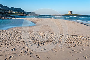 Stintino beach la pelosa in a sunny windy day