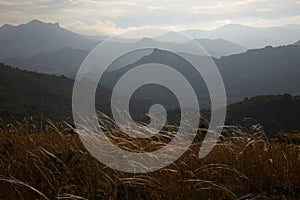 Stipa and ridge at background