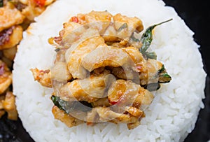 Stir-Fried Chicken and Holy Basil on Rice or Thai Food Recipe Center Frame