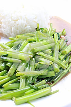 Stir-Fried Chinese Morning Glory, Water Spinach, Tumis Kangkung, stir fried morning glory .phad puk boong fri dang. thai food.