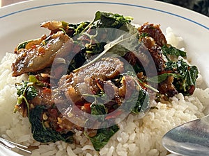 stir-fried crispy pork belly and basil with rice - Asian local street food style