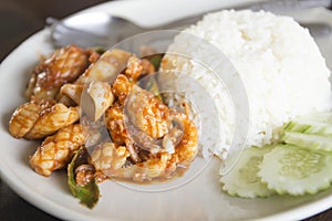 Stir fried Curry Squid with Steam rice