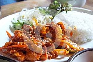 Stir fried Kim Chi sauce pork with rice