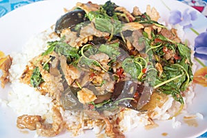 Stir-fried pork with basil leaves