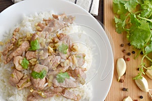 Stir fried pork with garlic topped on rice. Asian food style.