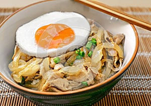 Stir-Fried Pork with Onions Butadon over Rice topped with Sunny Side Up Egg