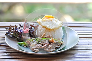 stir fried pork with vegetable or stir fried green pepper and pork with rice and sunny side up egg or fried egg photo