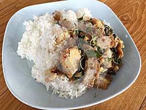 stir fried rice with spicy crispy pork with basil leaf on hot rice