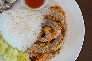 Stir fried shrimp with garlic and pepper on rice