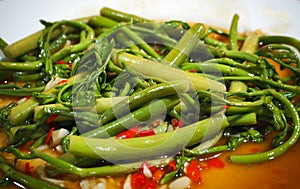 Stir-fried water mimosa with chilli
