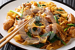 Stir fry of noodles with chicken, Chinese broccoli and egg close-up on a plate. Thai Pad See Ew. Horizontal photo