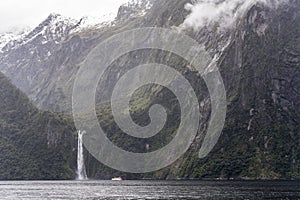Stirling Fall, snowy peaks and lush vegetation on steep fjord shore,  Milford Sound, New Zealand