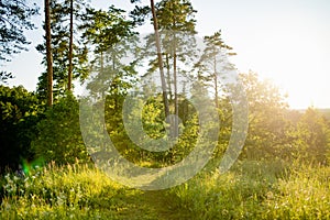 Stirniai mound surrounded with green trees, located near Vilnius, Lithuania, on sunny summer day