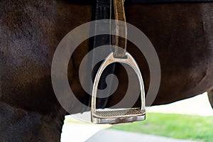 stirrup on the background of a horse closeup