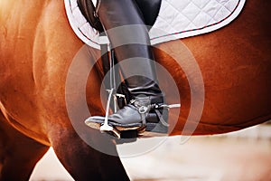 In the stirrup is the foot of a rider in a black boot, sitting on a bay racehorse. Equestrian sports. Horse riding